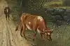 Thumbnail image 8