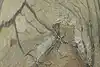 Thumbnail image 10