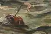 Thumbnail image 9