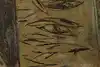 Thumbnail image 9