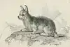 Thumbnail image 7