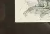 Thumbnail image 8