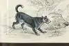 Thumbnail image 8