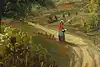 Thumbnail image 7