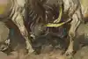 Thumbnail image 9