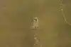 Thumbnail image 12