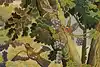 Thumbnail image 12