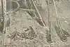 Thumbnail image 6