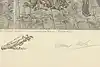 Thumbnail image 9