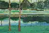 Thumbnail image 8