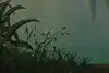 Thumbnail image 10