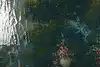 Thumbnail image 11