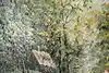 Thumbnail image 11