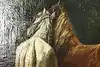 Thumbnail image 10