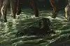 Thumbnail image 9