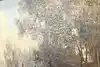 Thumbnail image 9