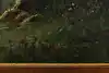 Thumbnail image 11
