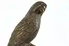 Thumbnail image 15