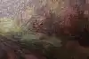 Thumbnail image 10