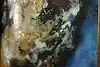 Thumbnail image 9