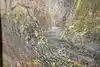 Thumbnail image 10