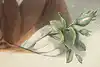 Thumbnail image 6