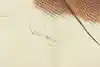 Thumbnail image 8
