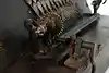 Thumbnail image 12