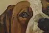 Thumbnail image 6