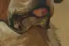 Thumbnail image 7