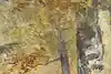 Thumbnail image 8