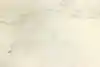 Thumbnail image 16