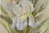 Thumbnail image 5