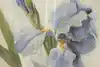 Thumbnail image 6