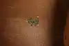 Thumbnail image 22