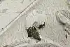 Thumbnail image 10