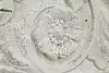 Thumbnail image 7