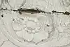 Thumbnail image 9