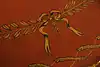 Thumbnail image 19