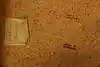 Thumbnail image 13