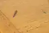 Thumbnail image 13