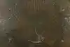 Thumbnail image 5