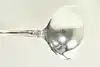 Thumbnail image 5