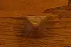 Thumbnail image 13