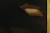 Thumbnail image 9