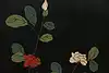 Thumbnail image 22