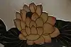 Thumbnail image 11