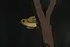 Thumbnail image 19