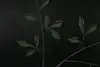Thumbnail image 21