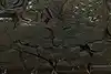 Thumbnail image 10